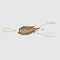 Makaron Morelli `Spaghetti` z zarodkiem pszenicy 500g